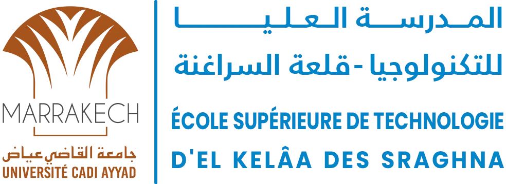 Logo ESTK